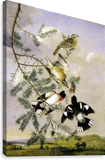 Cave To Canvas Canvas Print - Treasures From The Smithsonian Engagement Calendar (338x511), Png Download