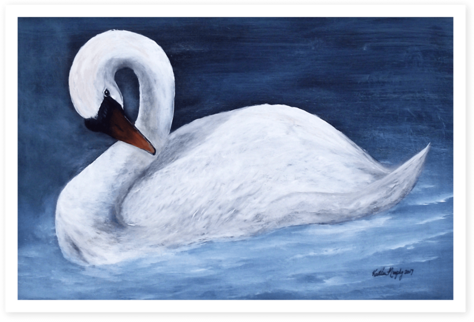 Kathleen Murphy Art Swan Water Blue (1000x750), Png Download