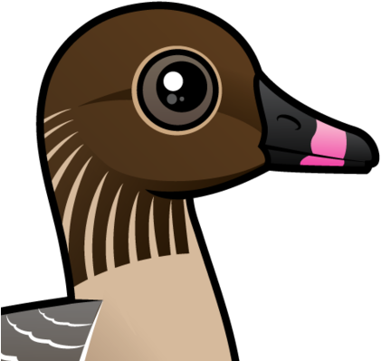 About The Pink-footed Goose - Gans Mit Roten Füßen Grußkarte (440x440), Png Download