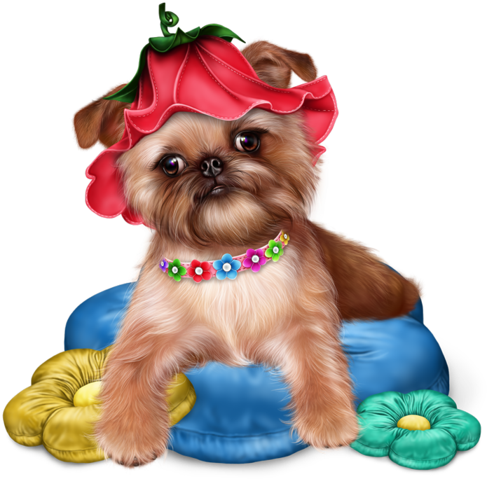 Превью Brussels Griffon Puppy18 Resultaat - Transparent Jaguarwomans Free Png (700x700), Png Download