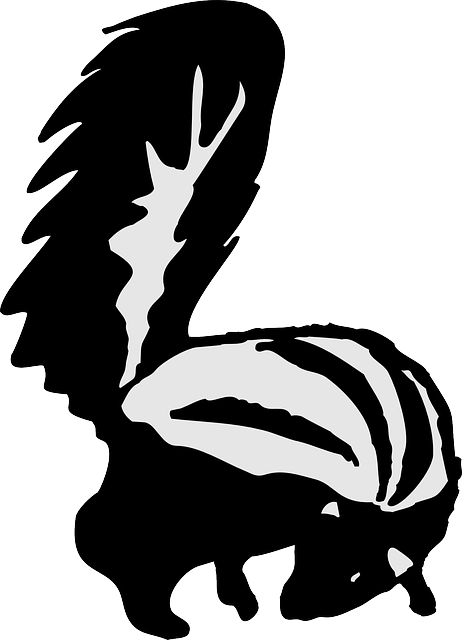Looking, Art, Skunk, Behind, Animal, Fur - Orginal Handicraft: Pendant With A Cute Skunk; Forest, (462x640), Png Download