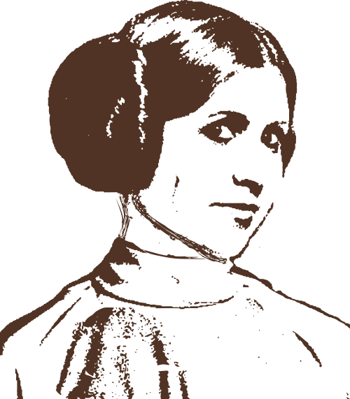 Princess T Shirt Sandbox - Carrie Fisher Princess Leia Star Wars Rebel A Woman's (500x571), Png Download