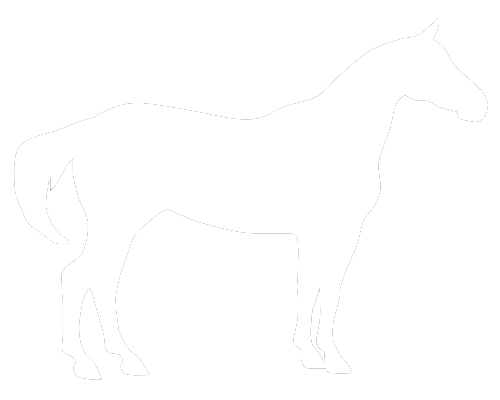Who We Are - Horse Silhouette Free Vector (500x400), Png Download
