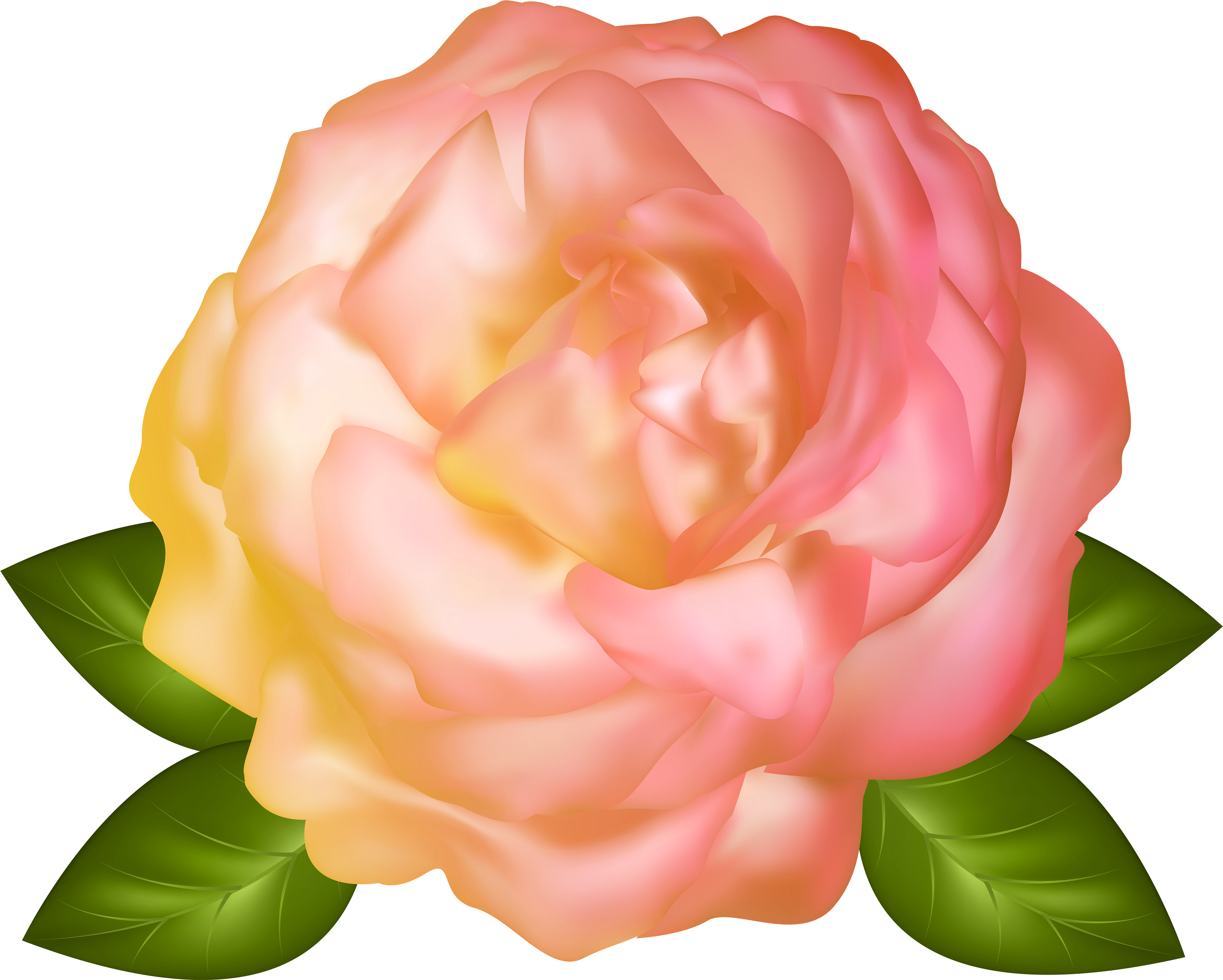 0, - Beautiful Garden Full Hd Images Png (600x481), Png Download