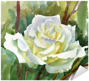 Watercolor Flower Collection - Fleurs Blanches Aquarelles Fleurs (400x400), Png Download