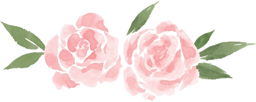 Yellow Roses Png (1000x401), Png Download