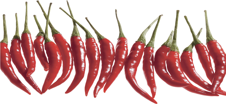 Small Chilli Marketing - Chili Peppers Isolated Png (960x453), Png Download