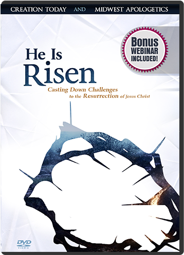 Previous - Next - Answers In Genesis (500x500), Png Download