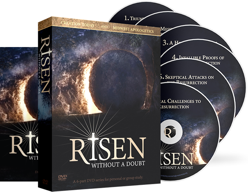 Risen Without A Doubt - 6 Disc Set - Dvd (800x620), Png Download