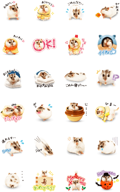 Hamster Umaru (420x673), Png Download