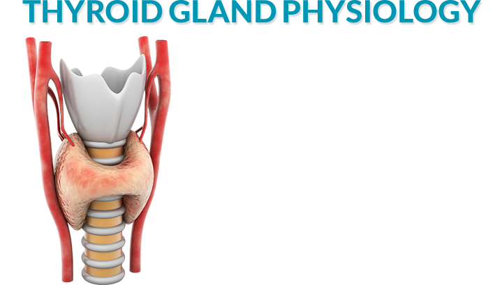 Title-2 - Physiology (719x409), Png Download