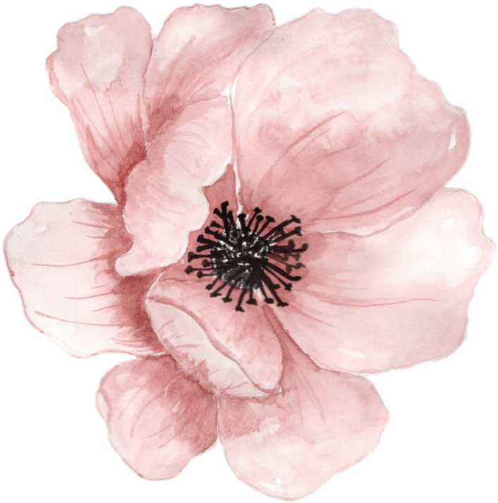 Download Transparent Flower Flowers Watercolor Pink Pastel Ftestickers