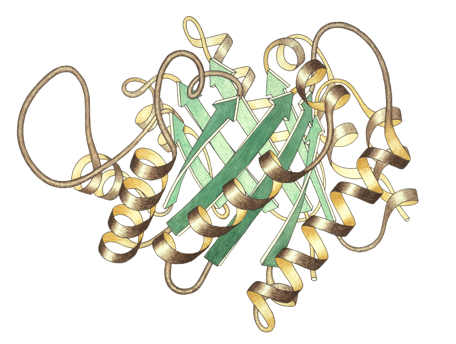 Triosephosphateisomerase Ribbon Pastel Trans - Biological Inorganic Chemistry By Crichton (1600x1200), Png Download