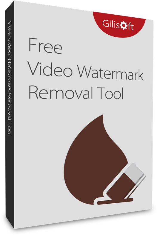 Stock What Is The Way To Remove From - Gilisoft Video Watermark Removal Tool (602x797), Png Download