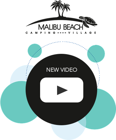 Png Library Library Beach Transparent Camping - Social Video Marketing (406x480), Png Download