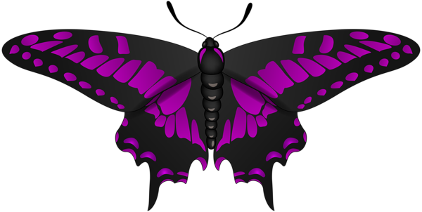 Butterfly Purple Black Clip Art Image Gallery - Clip Art (600x302), Png Download