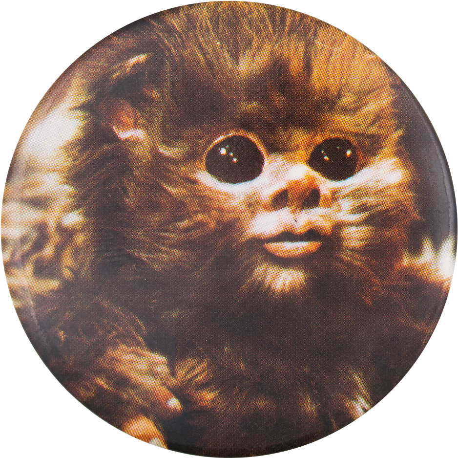 Ewok Star Wars - Vtg Baby Ewok Star Wars 83 Return (1000x994), Png Download