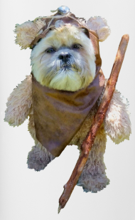 Cute May The 4th Be With You (190x309), Png Download