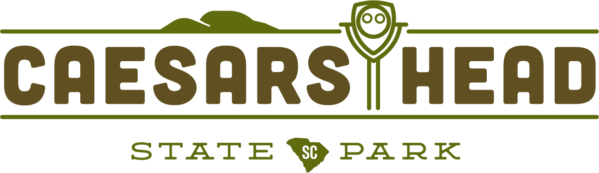 Park Logo - 2 Pack - The Lake Is My Happy Place - Green And Blue (1201x348), Png Download