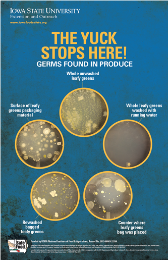 Leaf Vegetable (400x514), Png Download