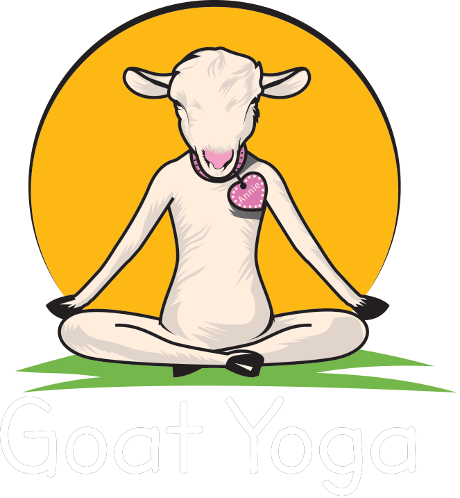 Original Goat Yoga Il - Original Goat Yoga (663x717), Png Download