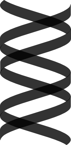 Vertical Double Helix Black - Dna Helix Vertical (294x598), Png Download