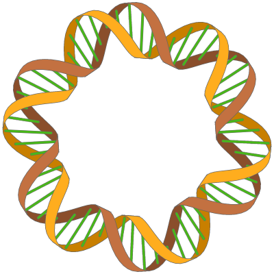 Enter Image Description Here - Dna Double Helix Circle (400x400), Png Download