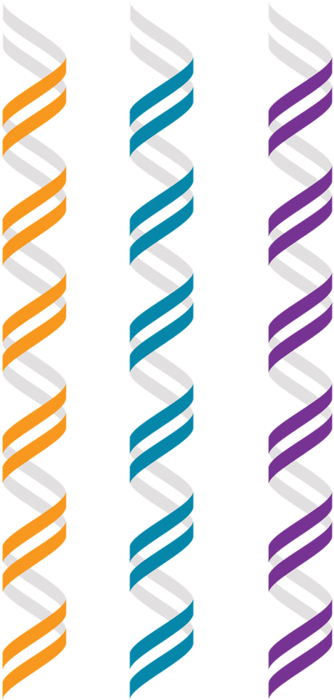 Genomics,double Helix,right Hand - Dna (500x1000), Png Download