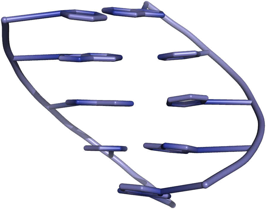 Cartoon Representation Of Base Stacking In A Dna Double - Stacking (895x704), Png Download