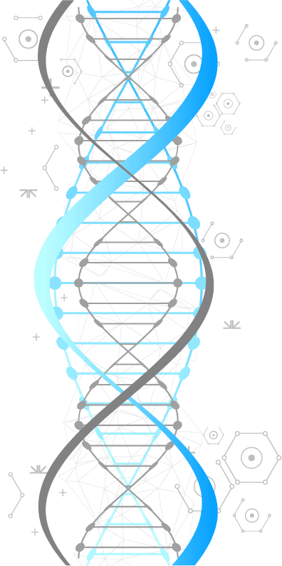 Double Helix Dna - Illustration (396x793), Png Download
