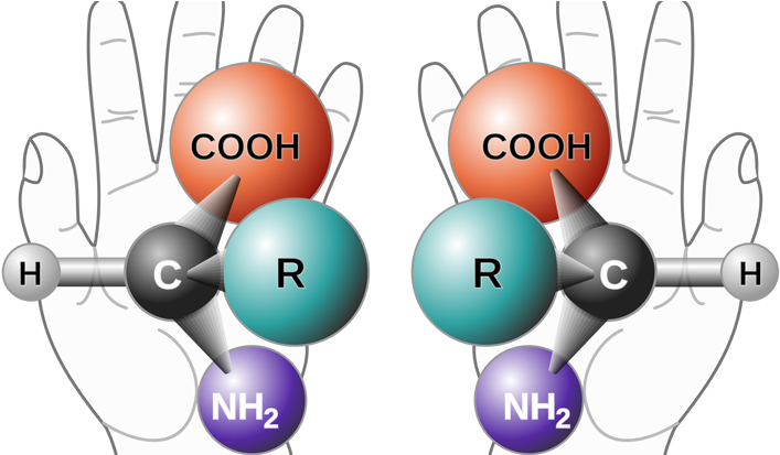 The Reflection You See Is A Right Hand - Superimposed Molecules (940x412), Png Download