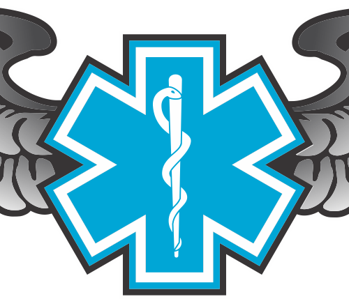 Wg#009 S2 Wings Rod Of Asclepius - Star Of Life Png (500x429), Png Download