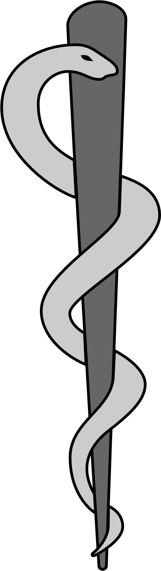 File - Aeskulap Z - - Aeskulap (600x2000), Png Download