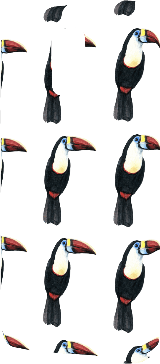 Time To See The Tucan Samsung Galaxy S5 Slim Phone - Mobile Phone (1600x1600), Png Download