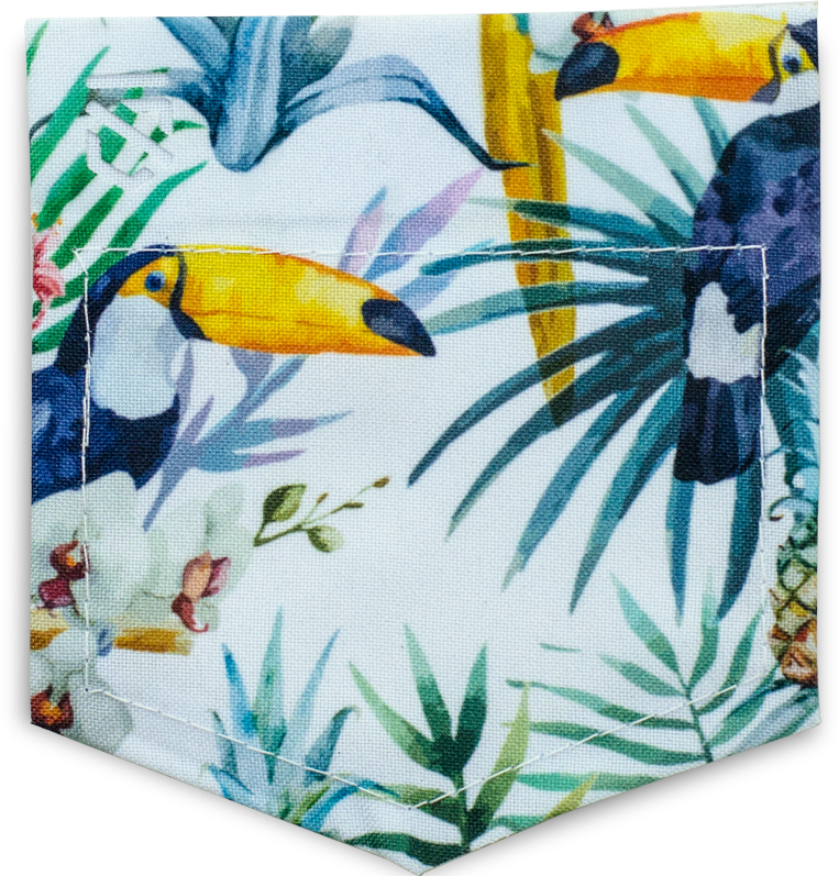 Tucan Me - Bullet Journal Beyond The Soul (763x797), Png Download