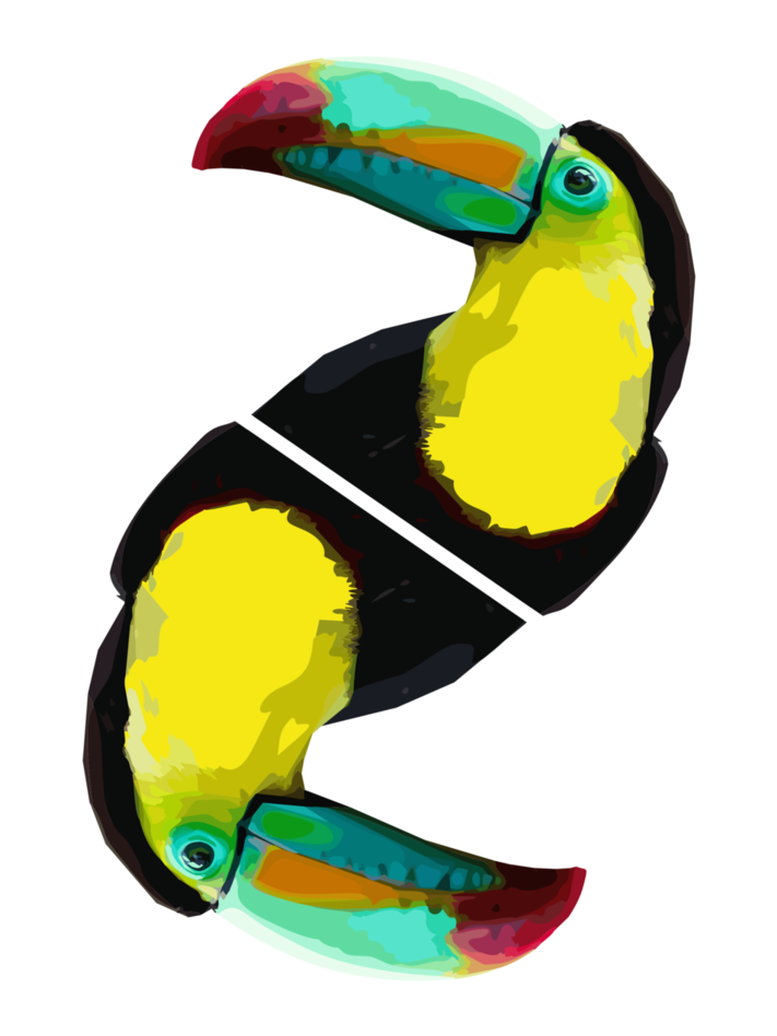 Graphic Design For Print By Gdakaska On - Toucan Graphic (764x1045), Png Download