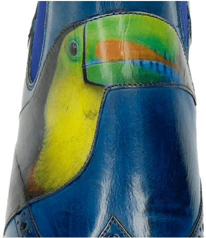 Ankle Boots Amelie 44 Bluette Screen Shot Tucan - Macaw (477x477), Png Download