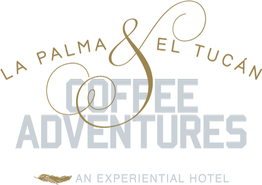 La Palma & El Tucan Coffee Adventures Is A Coffee Experience - Desert Travel Magazine (600x409), Png Download