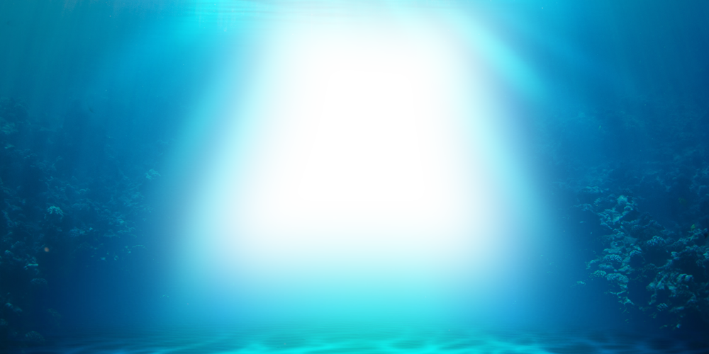 16 471k Tucan 10 Oct 2013 - Enema (1000x500), Png Download