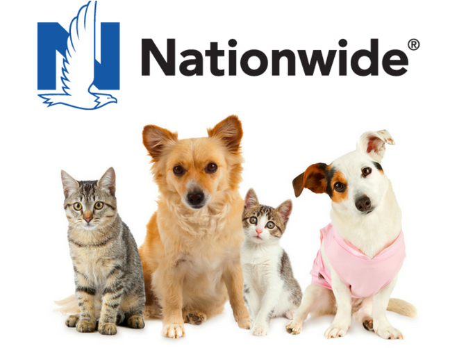 Nationwide Pet Insurance Review - Etna Products Co. Inc. Small Portable Pet Playpen With (1000x500), Png Download