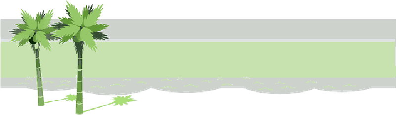 Mb Image/png - Palm Tree Clip Art (800x400), Png Download