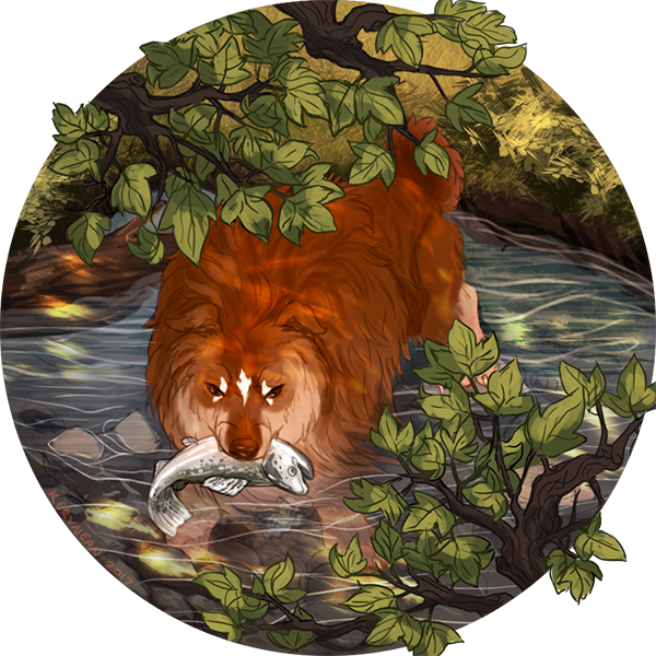 You Can Find Me As @kerynean On Too - Pomeranian (600x600), Png Download