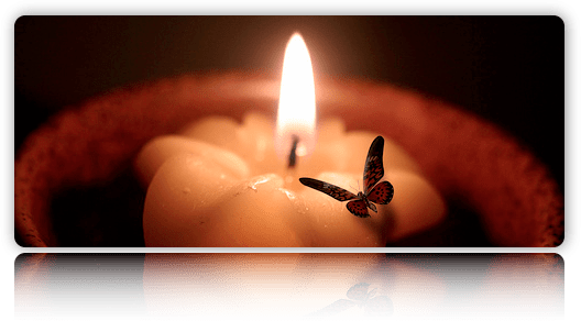 Moth To A Flame (528x292), Png Download