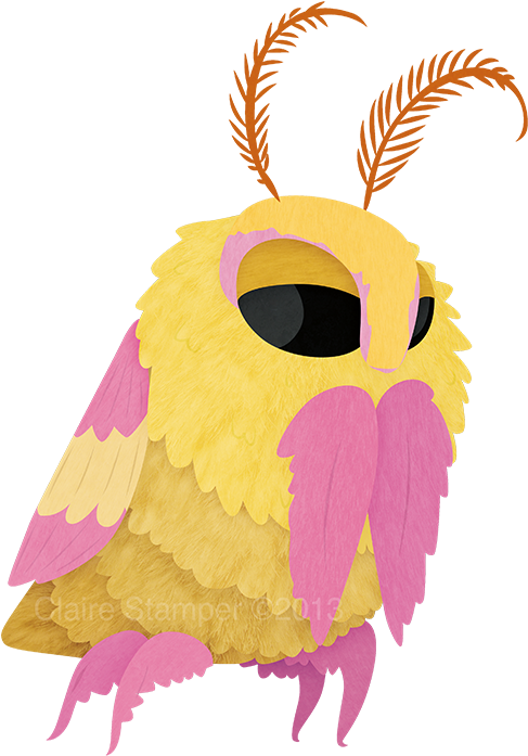 Pin By Crystal Woods On Simply Beautiful - Rosy Maple Moth Art (500x716), Png Download