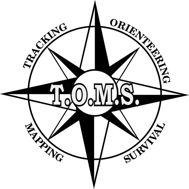 Toms Shoes (657x657), Png Download