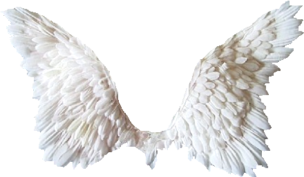 White Wings Png Tubes Ailes Ange Et De Papillon - Chariot Riders: Held By Angels (471x288), Png Download