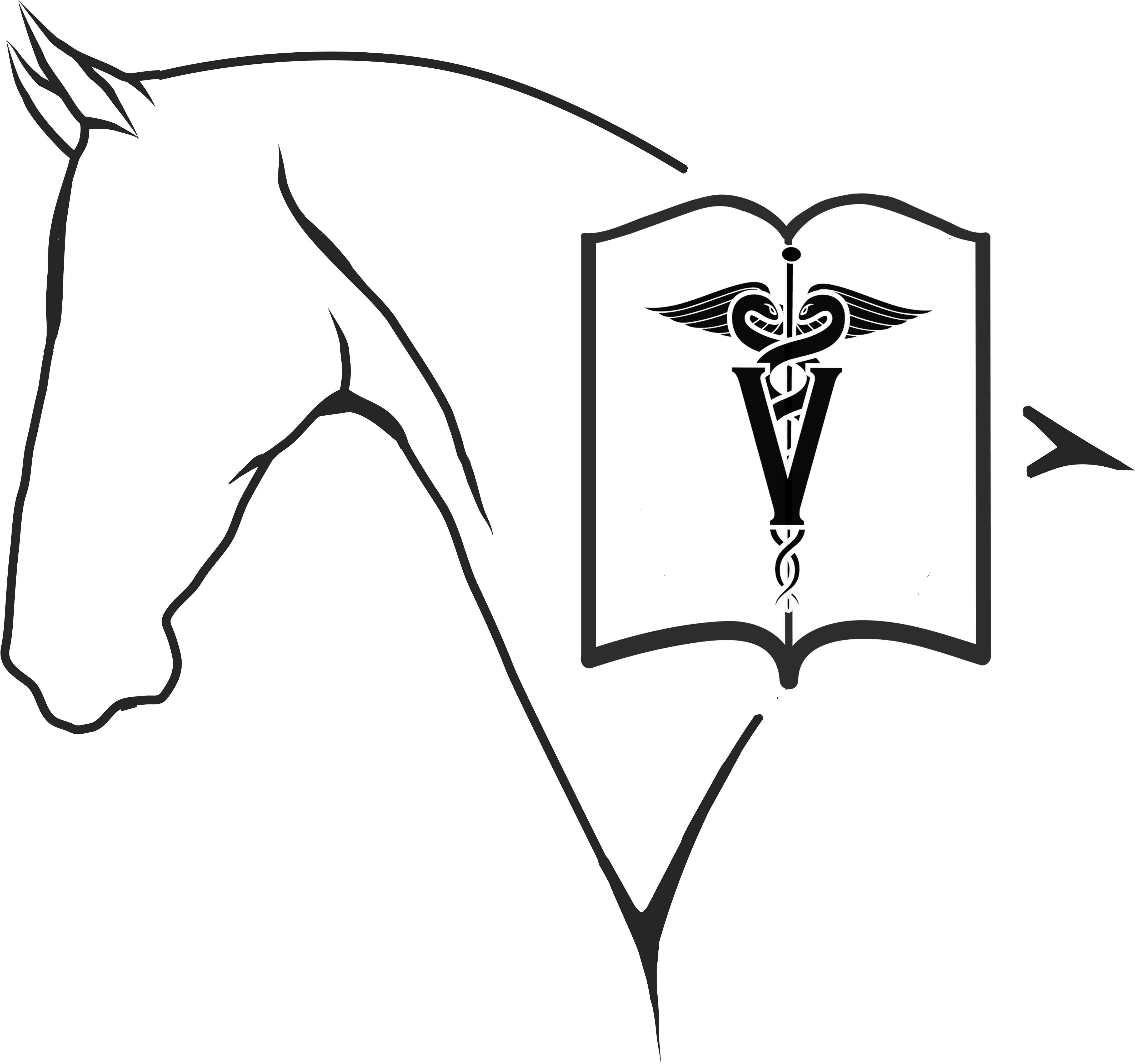 Hvb Logo Png - Sketch (4700x4700), Png Download