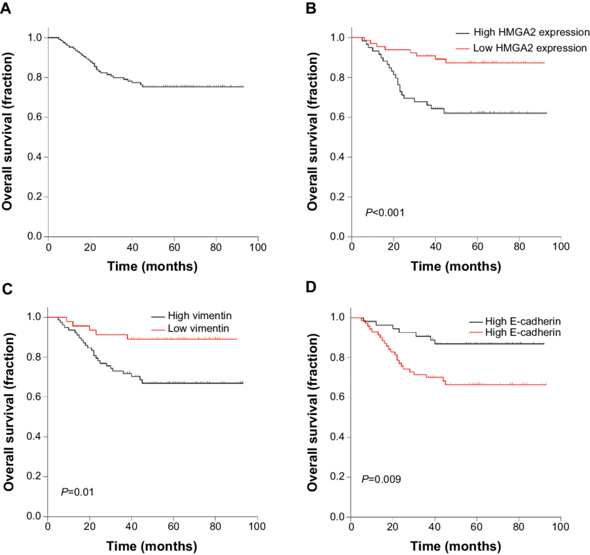 A) Kaplan Meier Survival Curves Of Overall Survival - Common Fig (850x800), Png Download