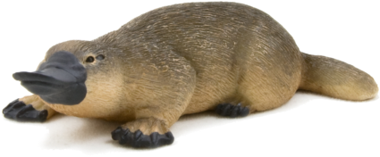 Duck Billed Platypus - Animal Planet - Duck Billed Platypus (540x328), Png Download