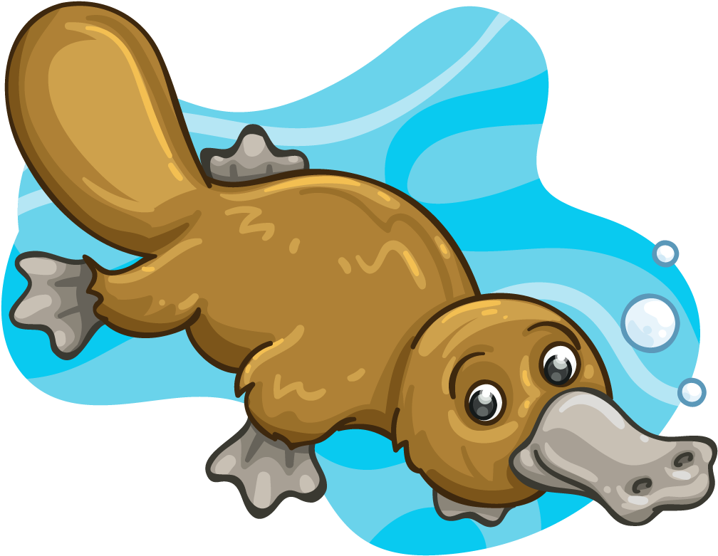 Patty Platypus - Platypus (1024x1024), Png Download